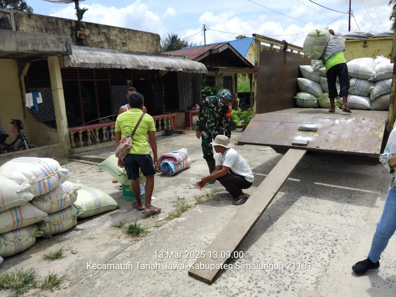 Koramil 10/Tanah Jawa Dampingi Tim Bulog Serap 3,6 Ton Gabah di Nagori Bahjambi II
