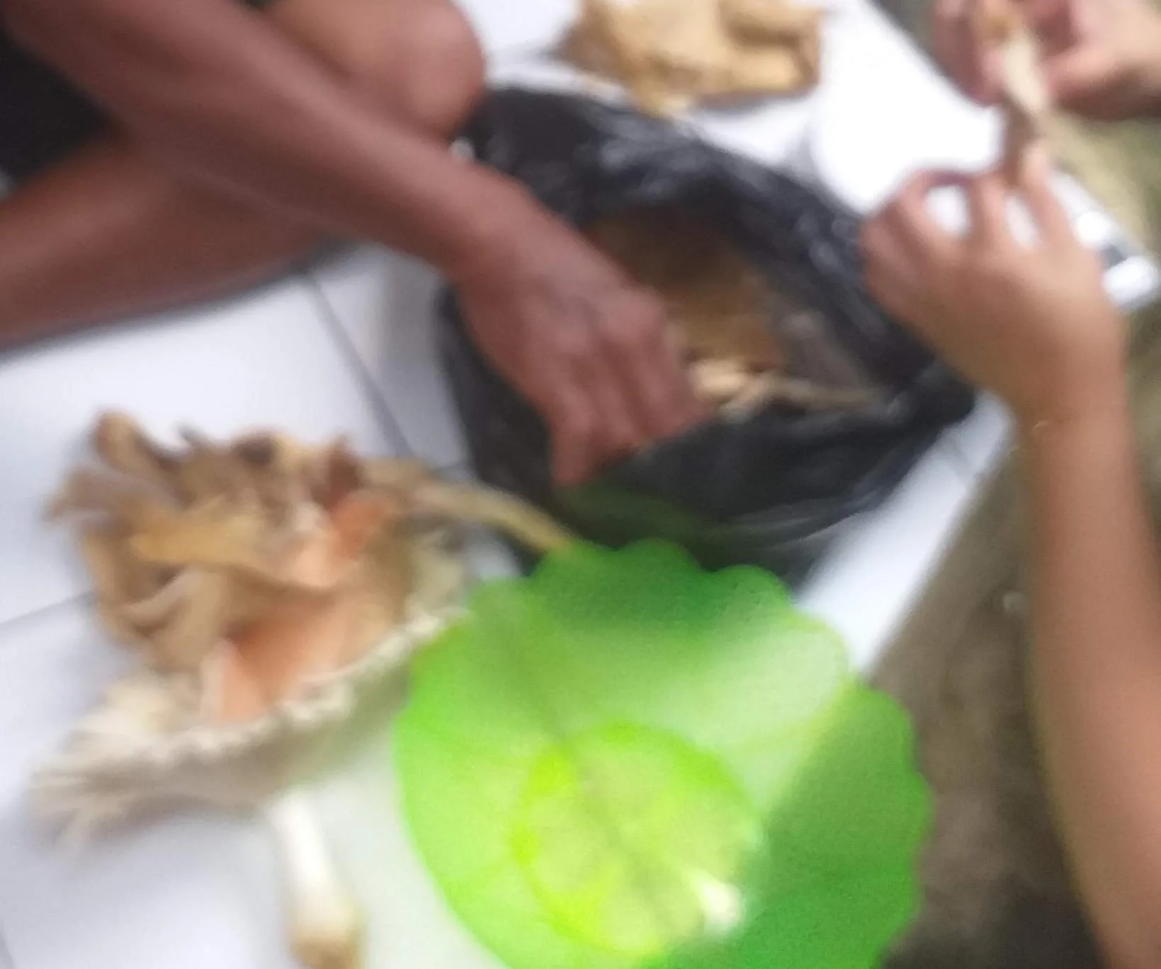 Cari Rijki di Kebun Jamur Beban Murah & Enak