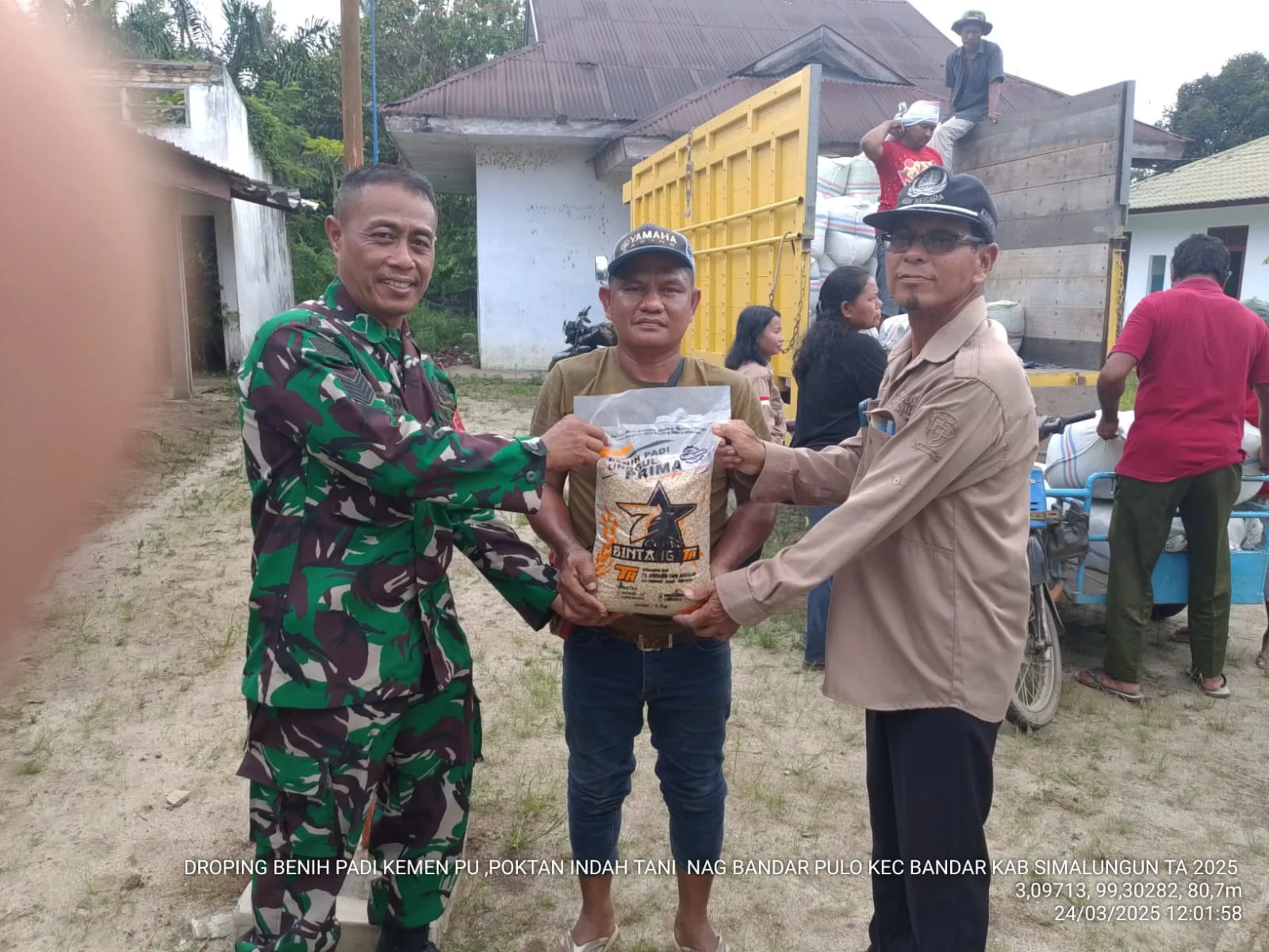 Dorong Produktivitas Pertanian, Babinsa Perdagangan Salurkan Bibit Padi Bersama UPTD BPP Bandar