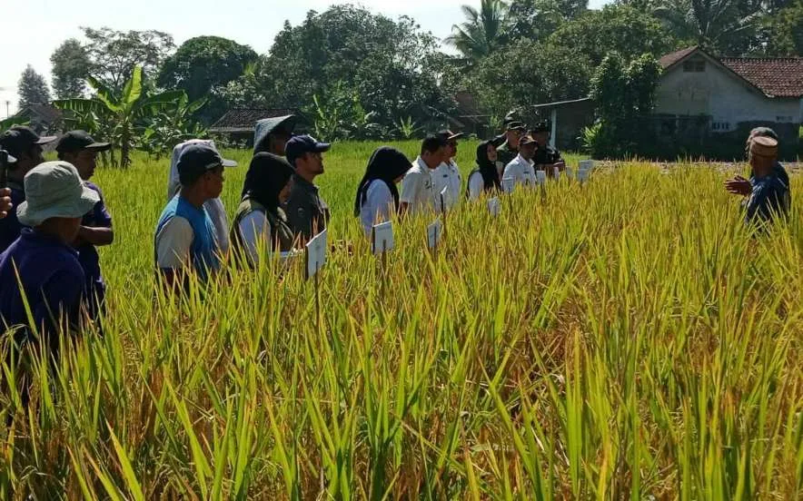 Asda 2 Menghadiri Deklarasi Pengembangan Padi Organik di Desa Jelekong Cidolog