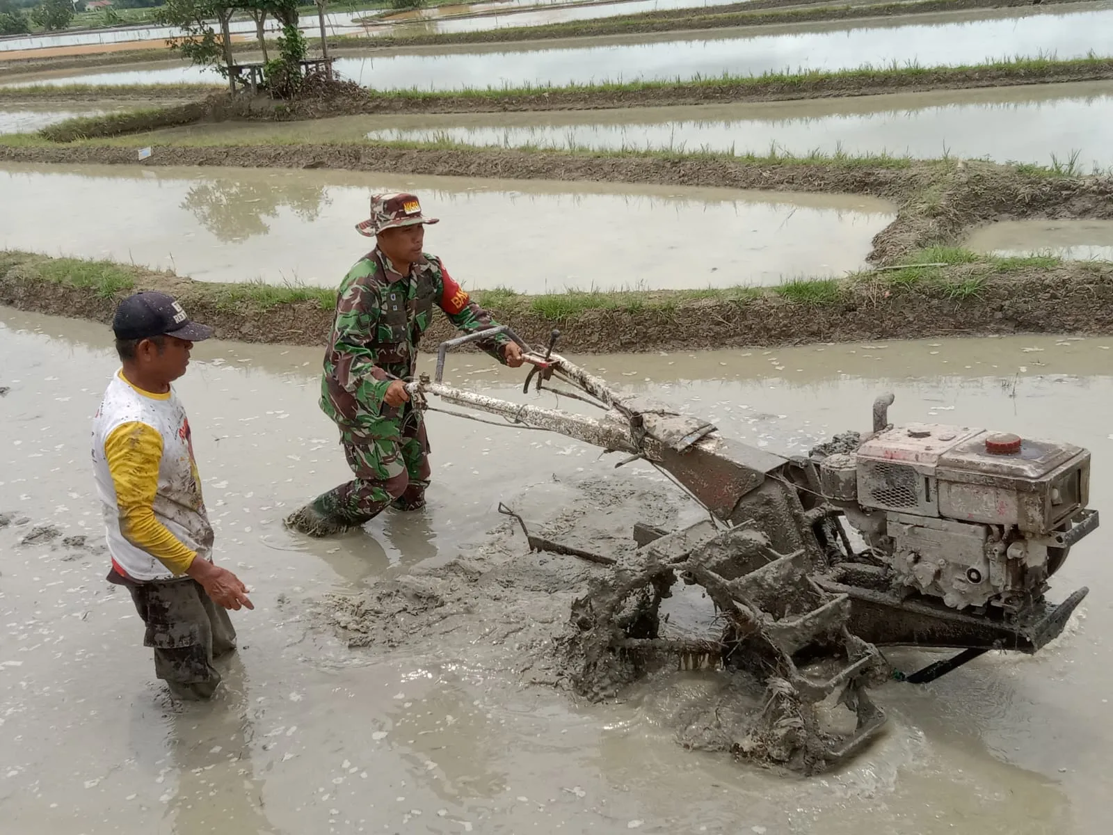 Percepat Masa Tanam, Babinsa Kodim 0207/Simalungun Bantu Petani Membajak Sawah