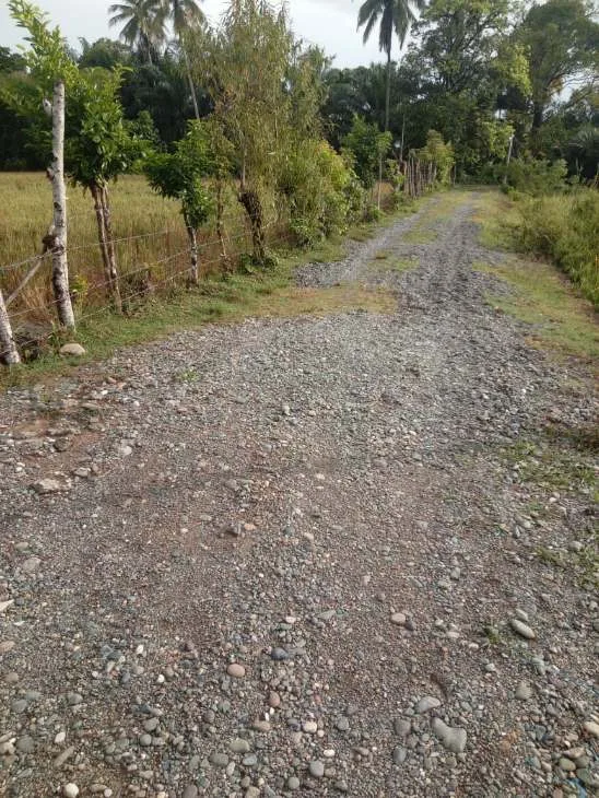 Jalan Hubungan Gampong Blang Selesai Serakan Krikil .kini Dambakan Rabat Beton