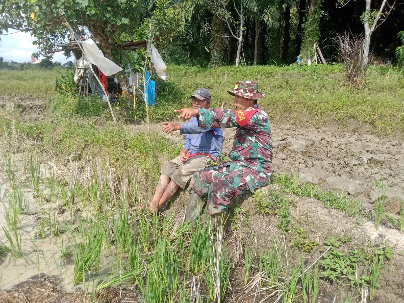 Komsos Sambil Santai, Babinsa Bahas Perawatan Padi dan Harga Gabah Bersama Warga”