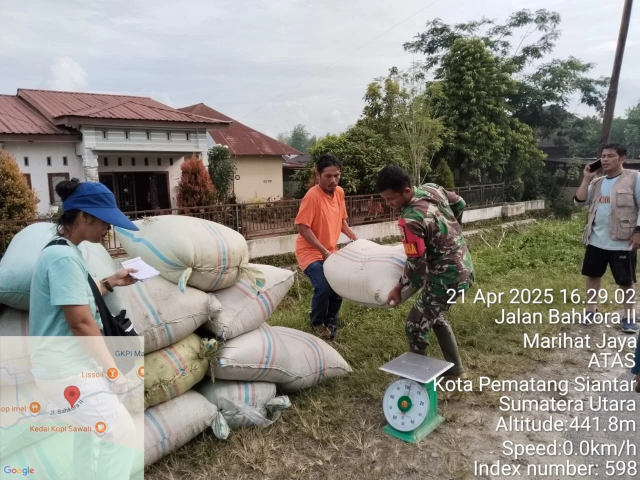 Petani Tersenyum, Harga Gabah Stabil Berkat Sinergi Babinsa dan Bulog Pematangsiantar