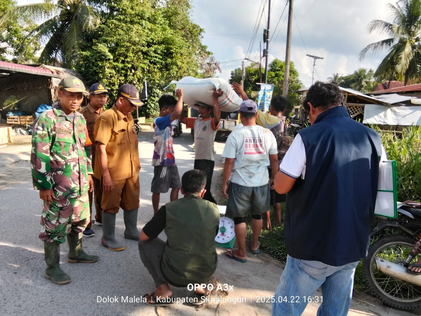Babinsa Terjun ke Sawah, Dukung Petani Serap Gabah Langsung di Lapangan