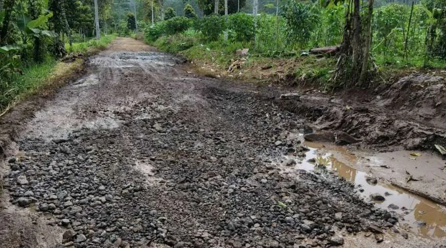 Pemerintah Desa Desak Tindak Lanjut PUPR : jalan Sindang Barang