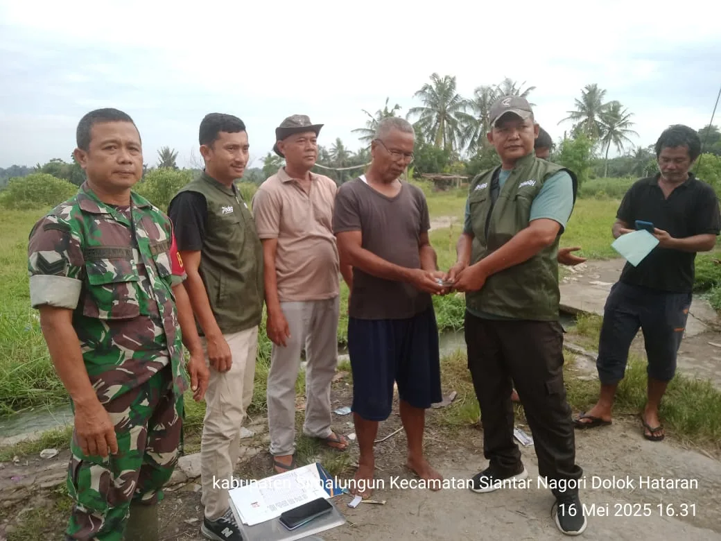 Babinsa Koramil 08/Bangun Dampingi Tim Bulog Serap 1,6 Ton Gabah Petani di Dolok Hataran
