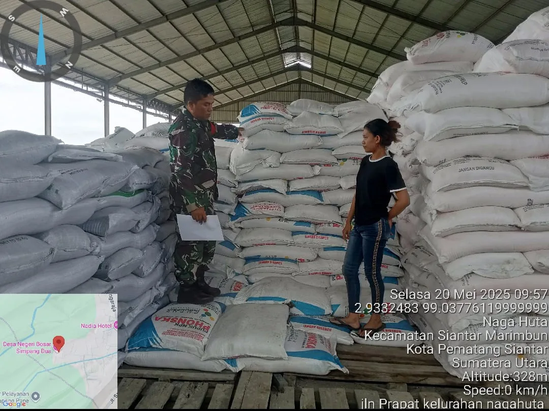 Babinsa Koramil 03/Siantar Selatan Tinjau Langsung Ketersediaan Pupuk Subsidi di Kelurahan Simarimbun