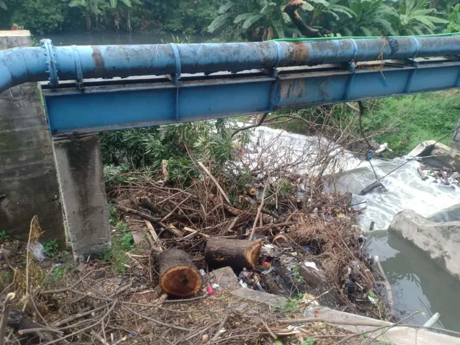 Pelebaran Jalan dan Pemotongan Pohon Picu Banjir, Aliran Sungai Terhambat.