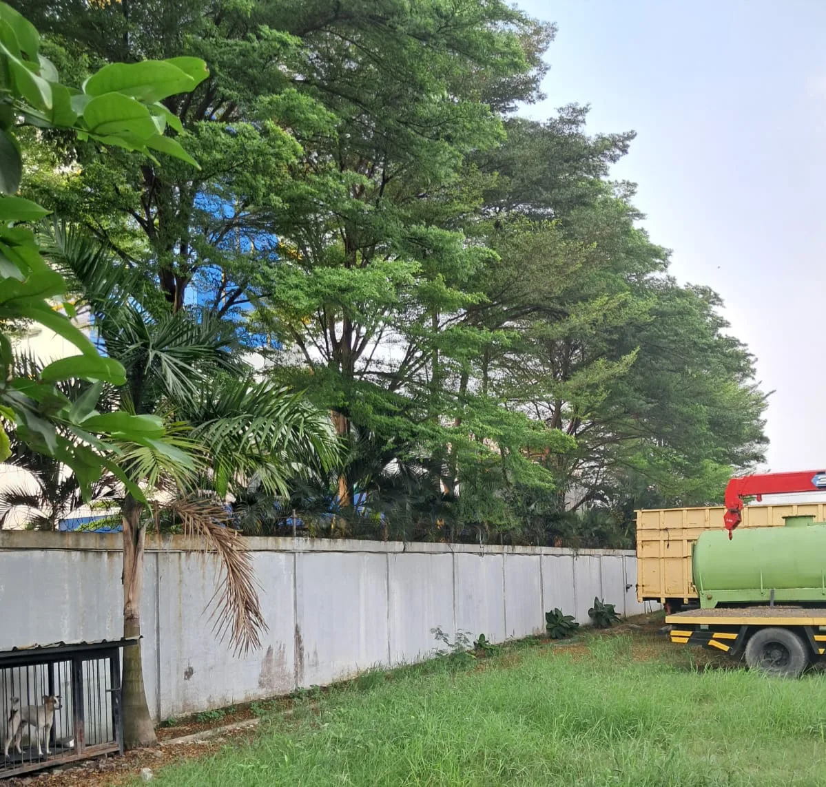 Di Duga Sampah Daun Days hotel and suites jakarta airport,Di Keluhkan Warga Sekitar