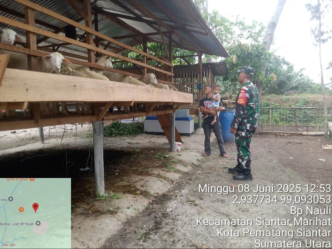 Babinsa Koramil 03/Siantar Selatan Jalin Komunikasi Sosial dengan Peternak Kambing di Kampung Kruis