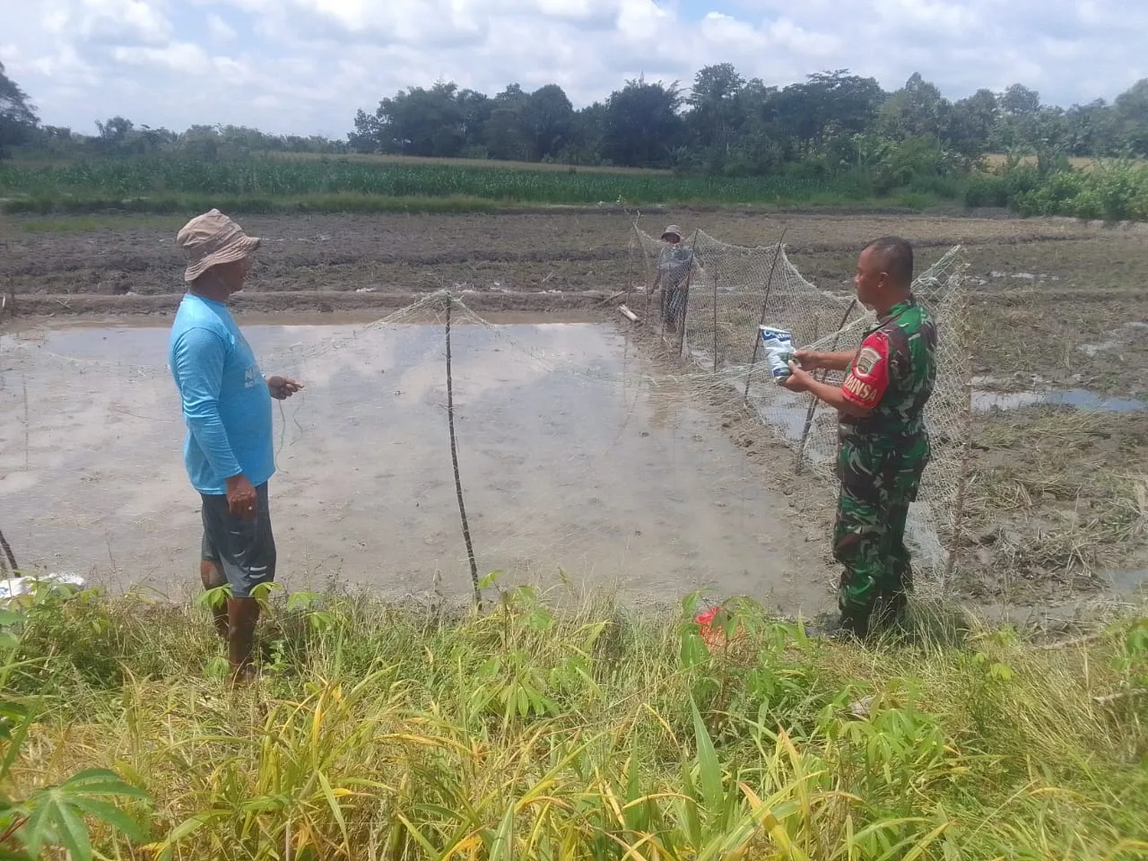 Babinsa Koramil 09/Tiga Balata Bantu Petani Lindungi Bibit Padi dari Serangan Burung