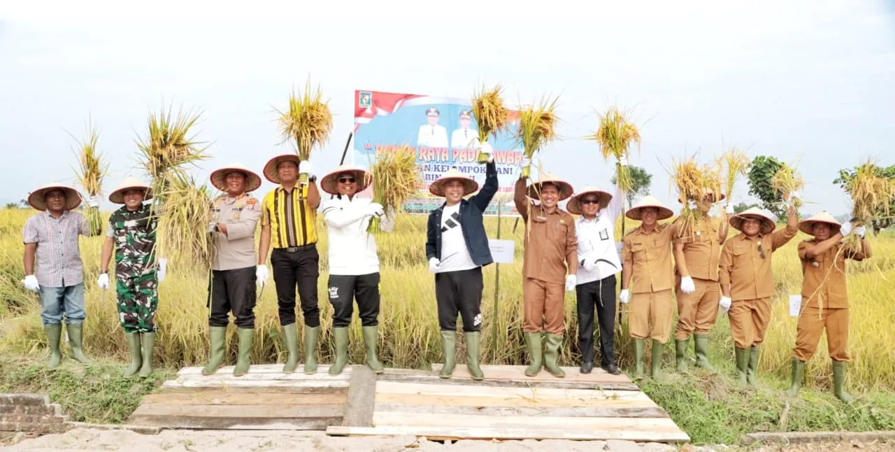 *Panen Raya Padi Sawah di Kecamatan Tanah Jawa, Bupati Simalungun Berharap Ada Kenaikan Hasil*