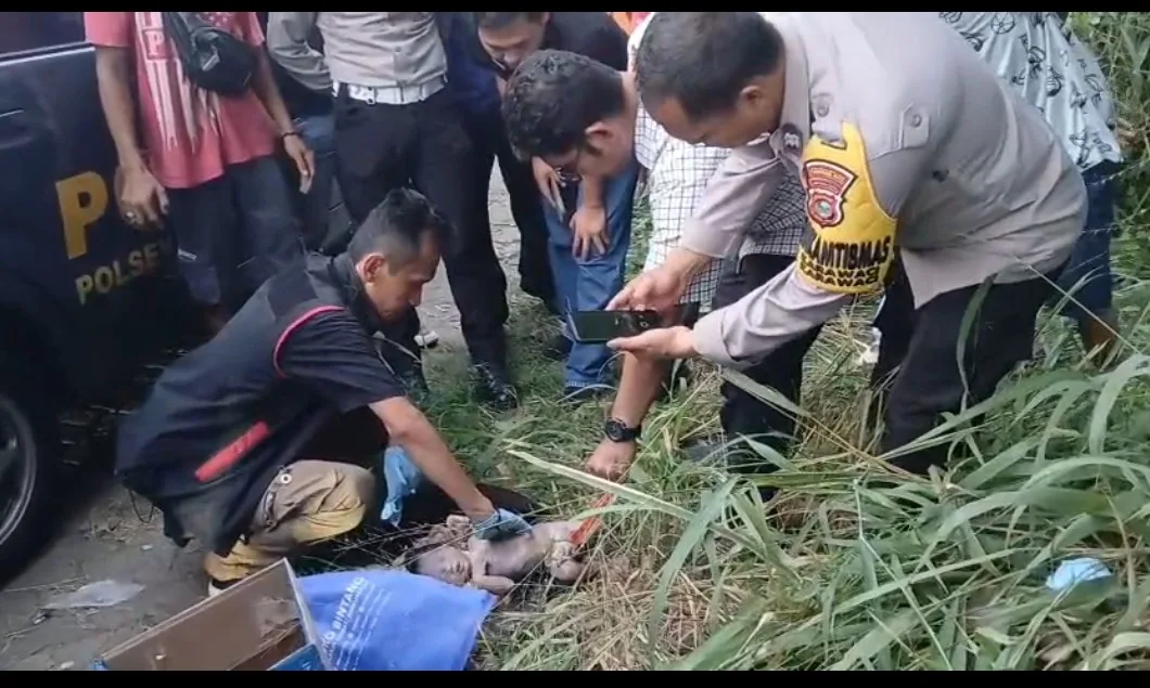 Tega Bayi dibuang Hingga Tidak Bernyawa