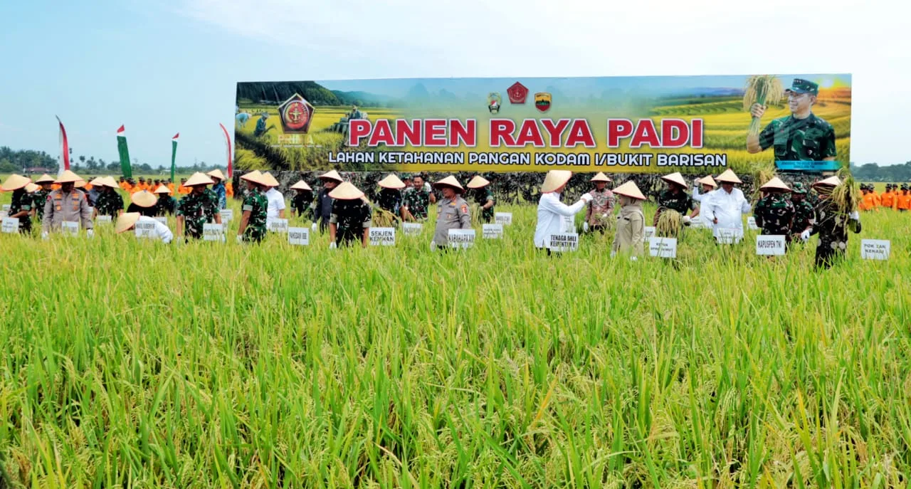 *Bupati Simalungun dan Wakil Bupati Ikuti Giat Panen Raya Padi Sawah Kodam I/BB*
