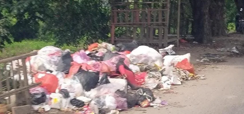 Luber, Tumpukan Sampah Di Sepanjang Jalan Raya Kampung Melayu Teluknaga Terkesan Dibiarkan Membusuk
