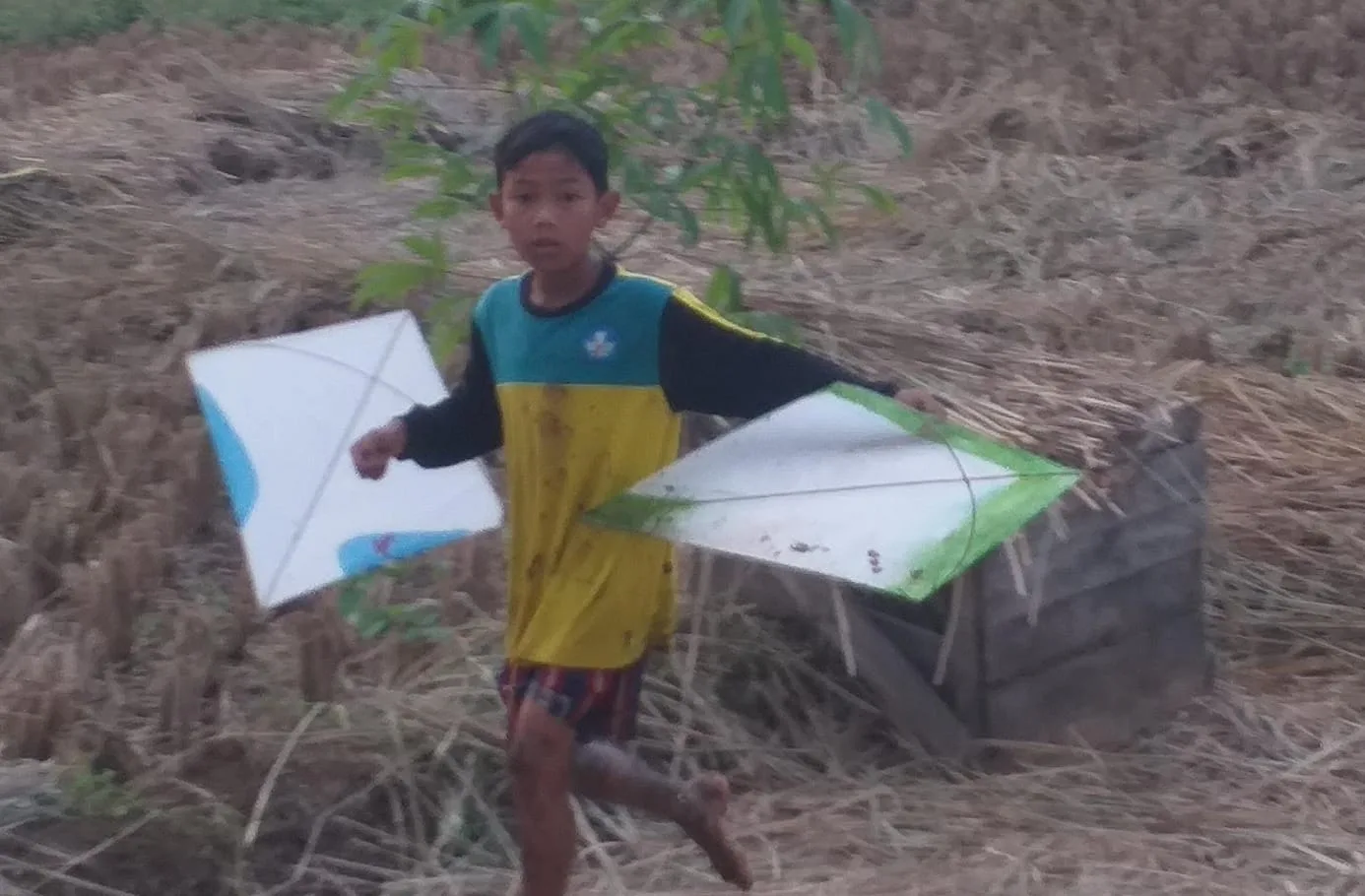 Asiknya Mengejar Layang -Layang Putus Keselamatan Jarang di Perhatikan