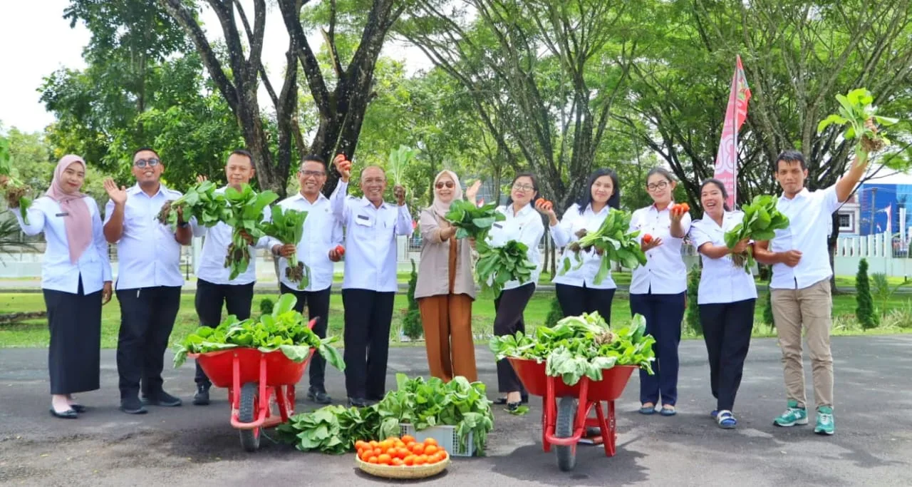 *Ketua TP PKK Simalungun Panen Sawi di Pekarangan Rumah, Dibagikan ke Masyarakat Sekitar*
