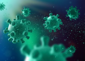 Pemerintah Meminta Perhatikan Kesehatan Lingkungan Setelah 5 Anak Meninggal Akibat Flu Babi