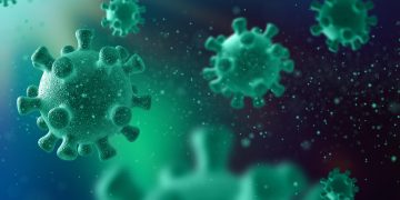 Pemerintah Meminta Perhatikan Kesehatan Lingkungan Setelah 5 Anak Meninggal Akibat Flu Babi