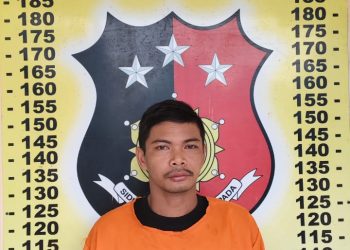 Pelaku Penggelapan Mobil Avanza Ditangkap di Riau, Polsek Perdagangan Ungkap Kasus Lewat Penyelidikan Cepat