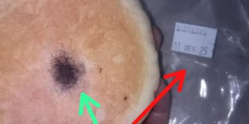 VIRAL: MBG SDN 4 Pancoran Mas Depok Ditemukan Kedaluwarsa & Berjamur, Orang Tua Laporkan ke Penyedia