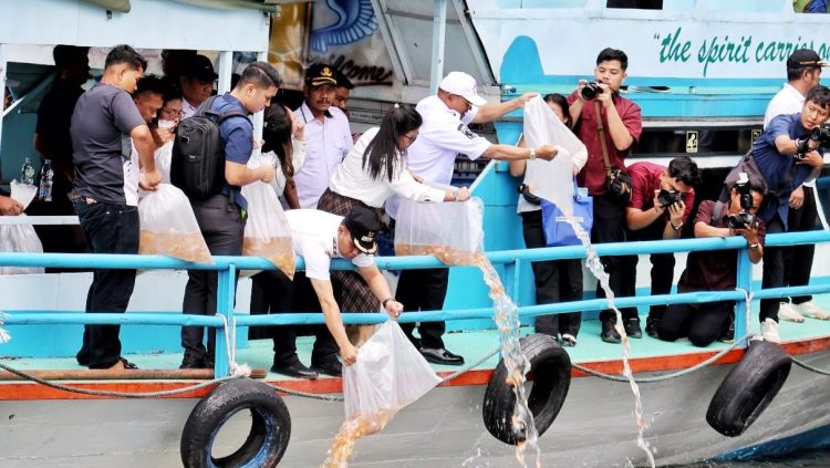 *Bantu Peningkatan Hasil Tangkapan Nelayan Tradisional, Pemkab Simalungun Gelar Kegiatan Restocking di Danau Toba*