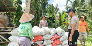 Kapolsek Tanah Jawa Turun Langsung Panen Jagung! 35 Goni Hasil Dari 6 Rante Lahan Polsek, Dukung Ketahanan Pangan