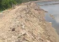 Diduga pengrusakan tanaman mangrove ,didesa pakamban laok. Terindikasi guna meraih keuntungan pribadi