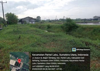 Diduga Beraktivitas di Kawasan Hutan Lindung, PT Tun Sewindu Dipersoalkan Kelompok Tani