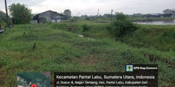 Diduga Beraktivitas di Kawasan Hutan Lindung, PT Tun Sewindu Dipersoalkan Kelompok Tani