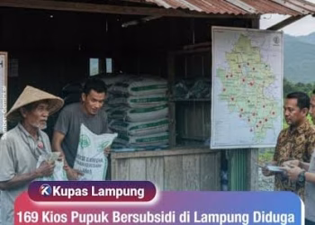Petani Simalungun Keluhkan Pupuk Urea Subsidi Hampir Sebulan Tak Masuk